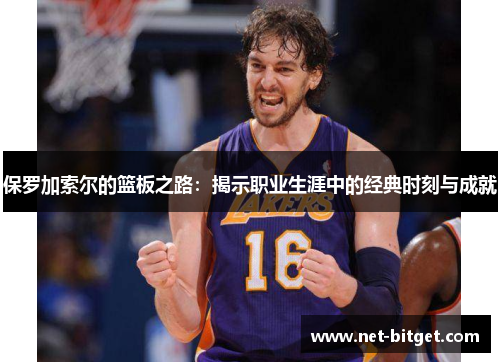 保罗加索尔的篮板之路：揭示职业生涯中的经典时刻与成就